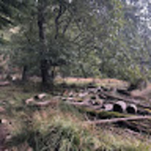 Meet your Posher, Sofia